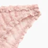 Bikini cheeky en dentelle