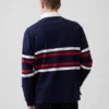 Chemise de rugby Team USA pour adulte