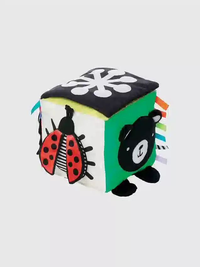 Cube de découverte Wimmer