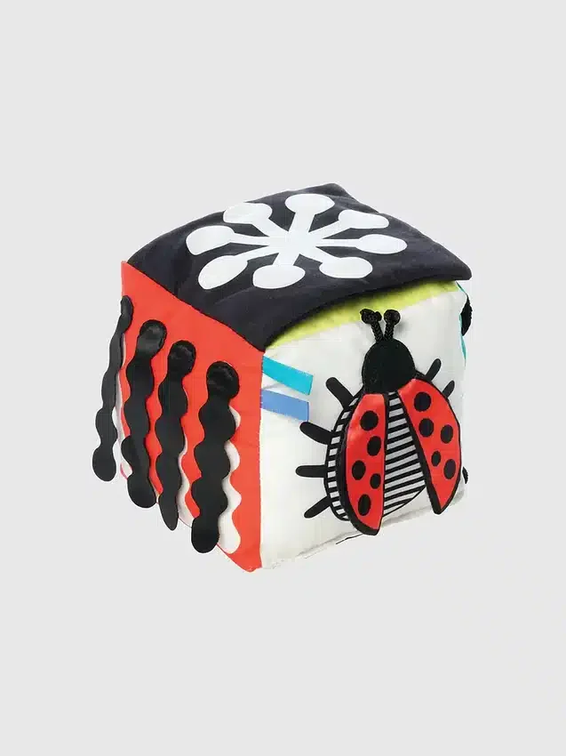 Cube de découverte Wimmer