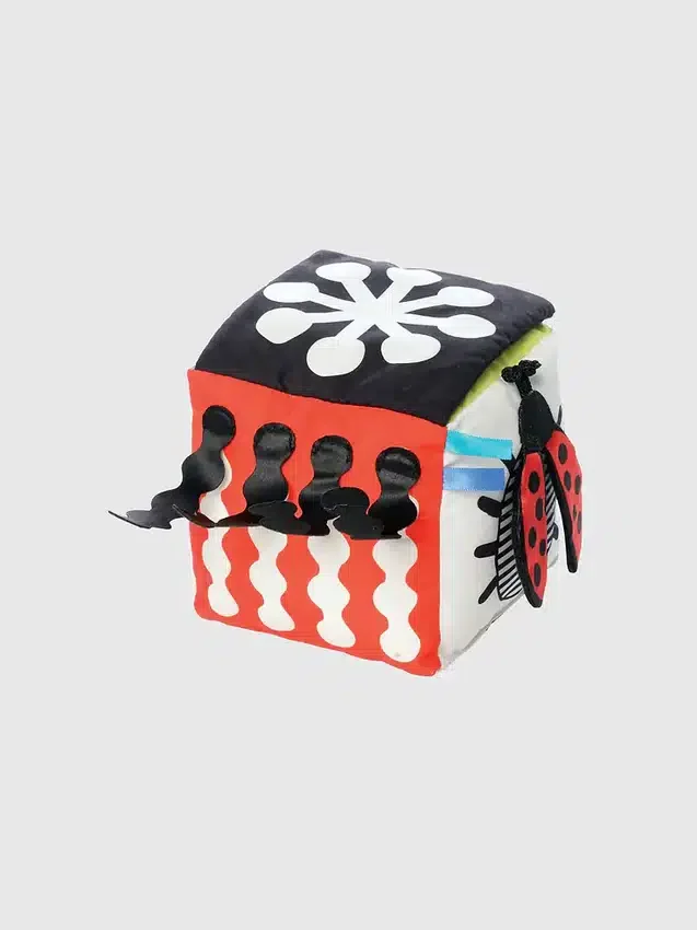 Cube de découverte Wimmer