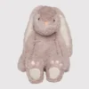 Ivy, les lapins câlins mauves