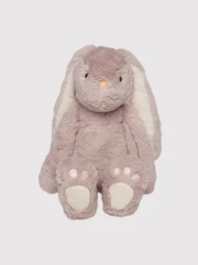 Ivy, les lapins câlins mauves