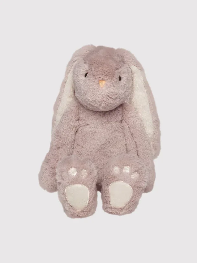 Ivy, les lapins câlins mauves