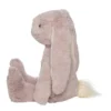 Ivy, les lapins câlins mauves