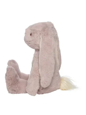 Ivy, les lapins câlins mauves