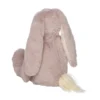 Ivy, les lapins câlins mauves