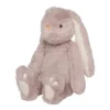 Ivy, les lapins câlins mauves
