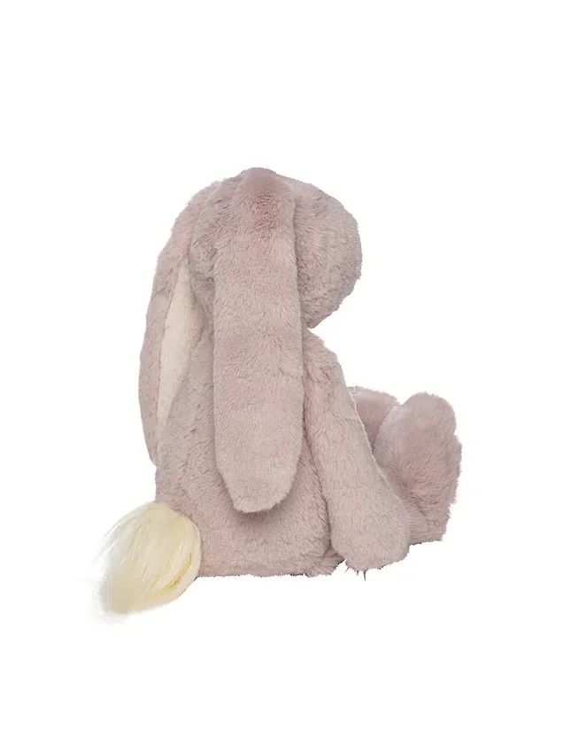 Ivy, les lapins câlins mauves