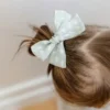 L'ensemble de barrettes à nœuds Abigail