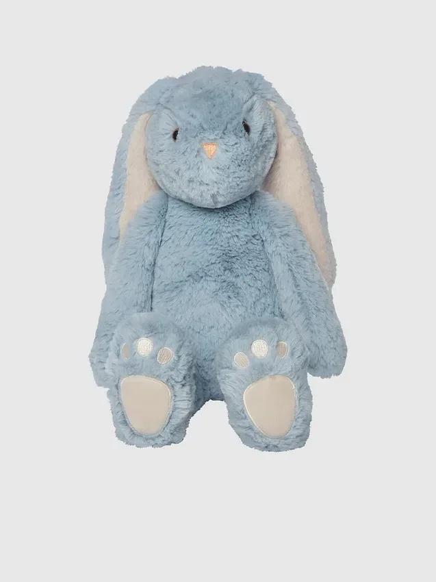 River, le lapin câlin bleu