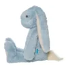 River, le lapin câlin bleu