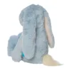 River, le lapin câlin bleu