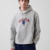 Sweat à capuche oversize Vintagesoft avec logo Americana
