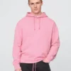 Sweat à capuche épais en molleton français avec logo GAP