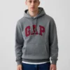 Sweat à capuche Vintagesoft Arch Logo pour adulte