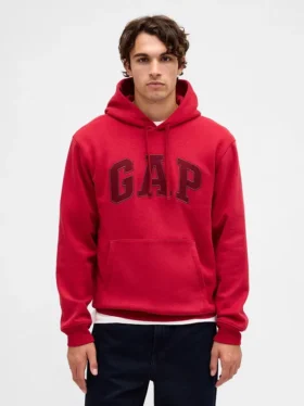 Sweat à capuche Vintagesoft Arch Logo pour adulte