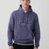 Sweat à capuche Vintagesoft Arch Logo pour adulte