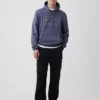 Sweat à capuche Vintagesoft Arch Logo pour adulte