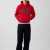 Sweat à capuche Vintagesoft Arch Logo pour adulte