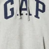 Sweat à capuche Vintagesoft Arch Logo pour adulte