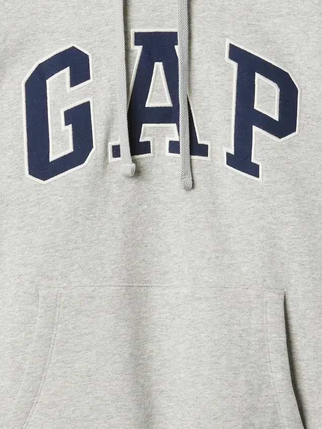 Sweat à capuche Vintagesoft Arch Logo pour adulte