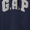 Sweat à capuche Vintagesoft Arch Logo pour adulte