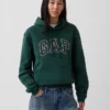 Sweat à capuche Vintagesoft Arch Logo pour adulte