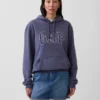 Sweat à capuche Vintagesoft Arch Logo pour adulte