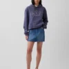 Sweat à capuche Vintagesoft Arch Logo pour adulte