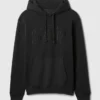 Sweat à capuche Vintagesoft Arch Logo pour adulte