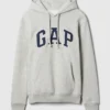 Sweat à capuche Vintagesoft Arch Logo pour adulte