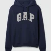 Sweat à capuche Vintagesoft Arch Logo pour adulte