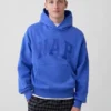 Sweat à capuche Vintagesoft Nap Logo pour adulte