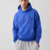 Sweat à capuche Vintagesoft Nap Logo pour adulte