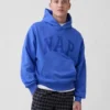 Sweat à capuche Vintagesoft Nap Logo pour adulte