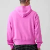 Sweat à capuche Vintagesoft Nap Logo pour adulte