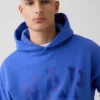 Sweat à capuche Vintagesoft Nap Logo pour adulte