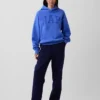 Sweat à capuche Vintagesoft Nap Logo pour adulte