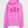 Sweat à capuche Vintagesoft Nap Logo pour adulte