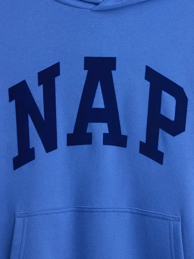 Sweat à capuche Vintagesoft Nap Logo pour adulte