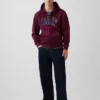 Sweat à capuche zippé pour adulte Vintagesoft Arch Logo