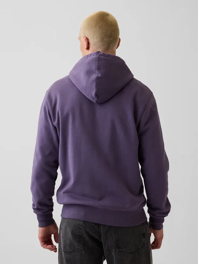 Sweat à capuche zippé pour adulte Vintagesoft Arch Logo