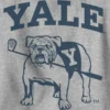 Sweat-shirt pour enfant avec motif de l’université de Yale