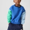 Sweat-shirt Vintagesoft à blocs de couleur pour Bébé & Enfant