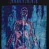 T-shirt graphique court épais Nirvana