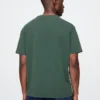 T-shirt graphique pour adulte des Green Bay Packers de la NFL
