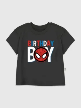T-shirt graphique « Spider-Man Birthday Boy » pour tout-petits