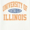 T-shirt à motif vintage « Fighting Illini » de l’université de l’Illinois