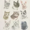 T-shirt pour enfant avec motif « Cat Faces »
